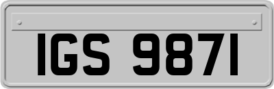 IGS9871