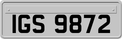 IGS9872