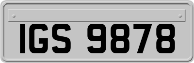 IGS9878