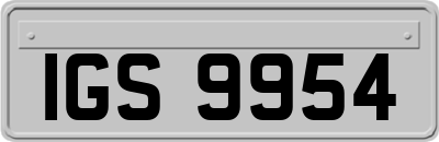 IGS9954