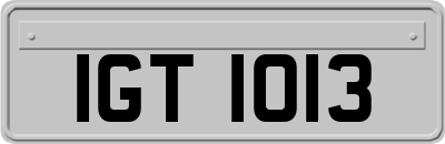 IGT1013