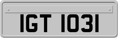 IGT1031