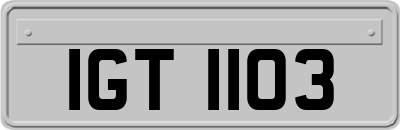 IGT1103