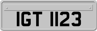 IGT1123