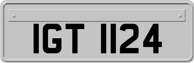 IGT1124