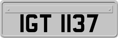 IGT1137