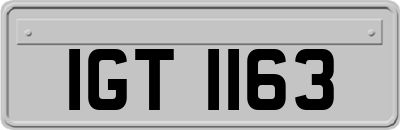 IGT1163