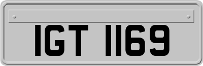 IGT1169