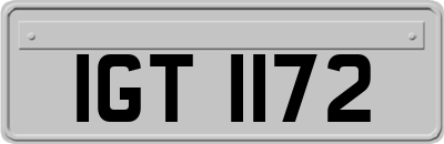 IGT1172