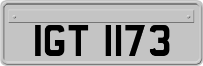 IGT1173