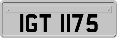 IGT1175
