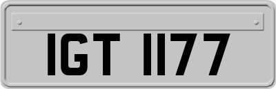 IGT1177
