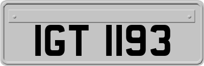 IGT1193