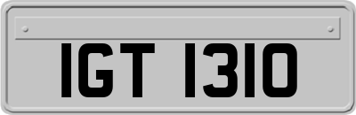 IGT1310
