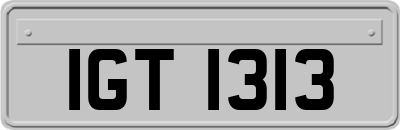 IGT1313