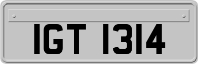 IGT1314