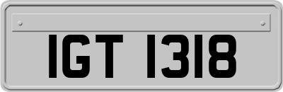 IGT1318