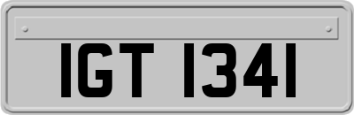 IGT1341