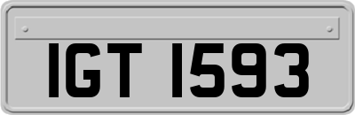 IGT1593