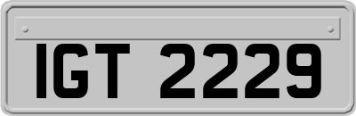 IGT2229