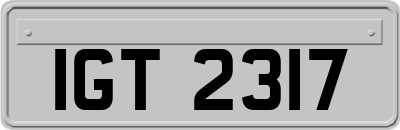 IGT2317