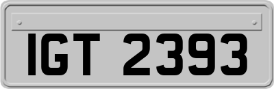 IGT2393