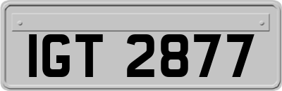 IGT2877