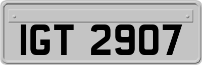 IGT2907
