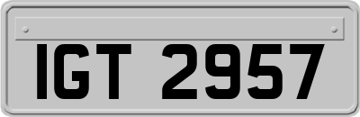IGT2957