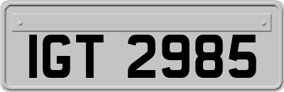 IGT2985