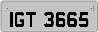 IGT3665
