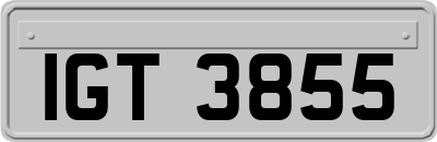 IGT3855
