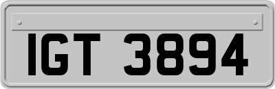 IGT3894