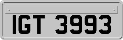 IGT3993