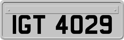 IGT4029