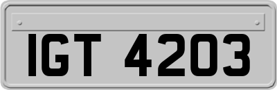 IGT4203