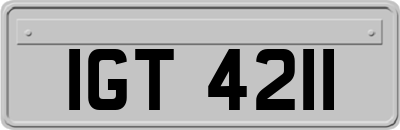 IGT4211