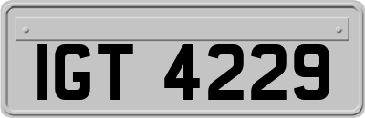 IGT4229