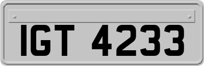 IGT4233