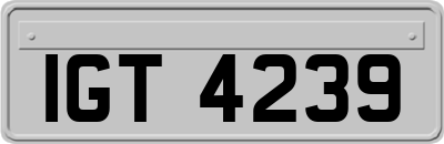 IGT4239
