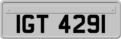 IGT4291