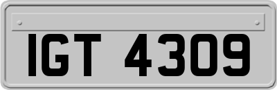 IGT4309