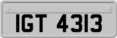 IGT4313
