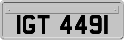 IGT4491