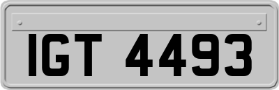 IGT4493