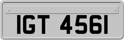 IGT4561
