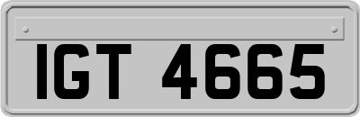 IGT4665