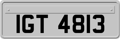 IGT4813