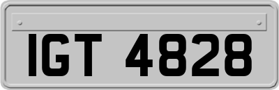 IGT4828