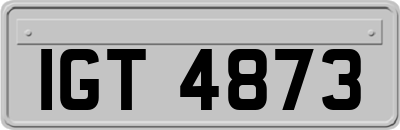 IGT4873